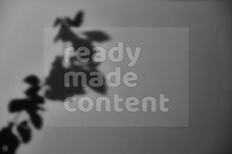 يظهر ضوء غوبو خافت ظلال أوراق نبات تسقط على سطح ناعم