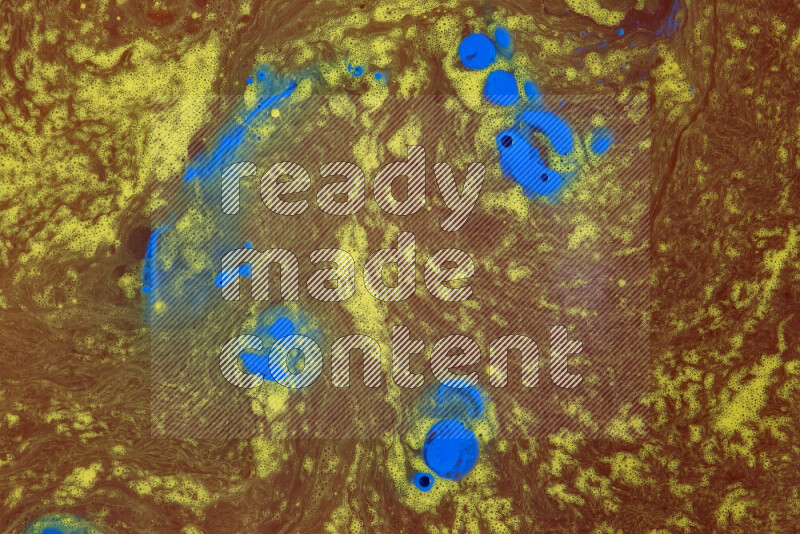 The image depicts a marbling effect with swirling patterns of red, blue and yellow