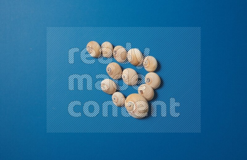 top view shot of seashells arrangement on blue background