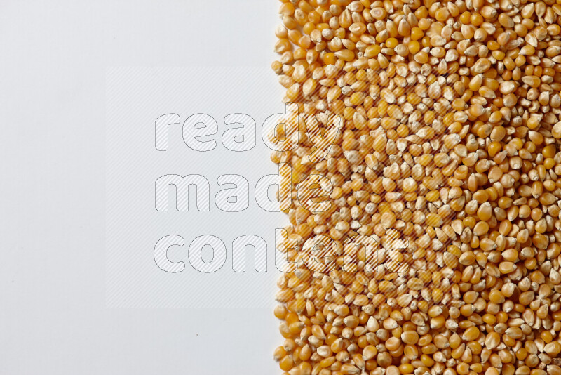 Dry Corn Kernels on white background