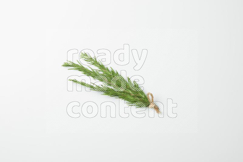 Three fresh rosemary sprigs on white background