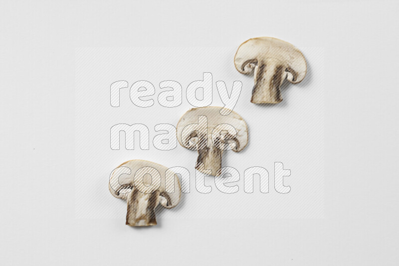 Mushrooms on white background