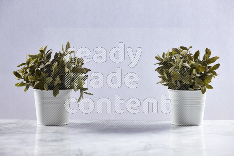 Two green artificial plants in white pot on grey marble background