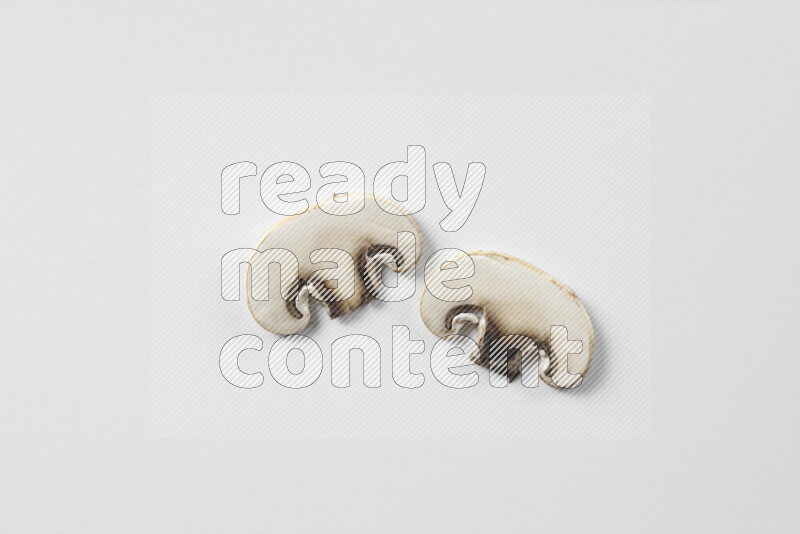 Mushrooms on white background