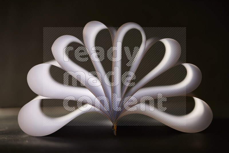 An abstract art piece displaying smooth curves in grey gradients created by colored light