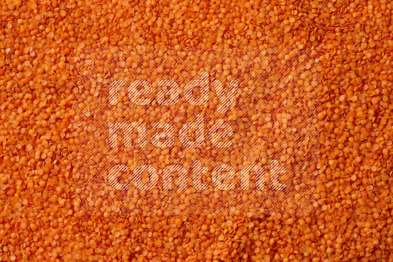 Lentils on white background