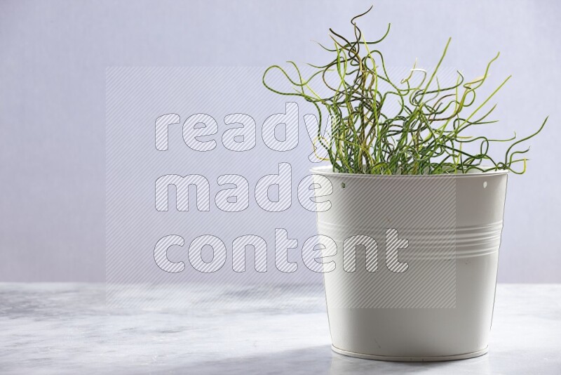 Green artificial plant in white pot on grey marble background