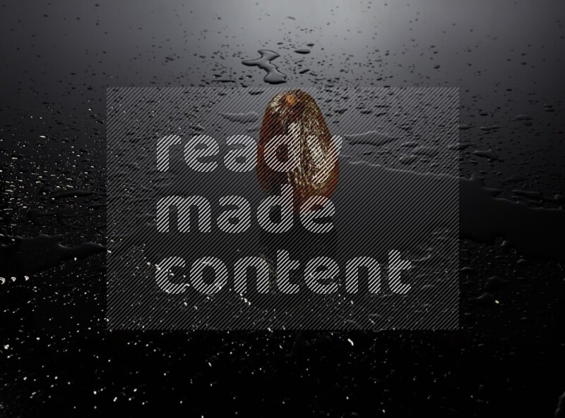 A whole avocado on black background with water drops.