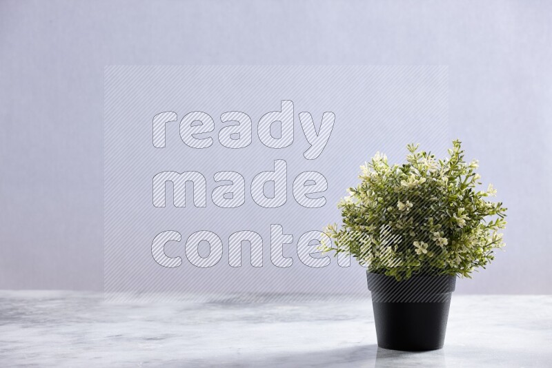 Artificial plant in black pot on grey marble background