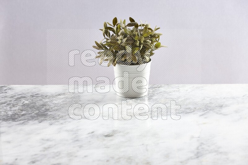 Green artificial plant in white pot on light grey marble background