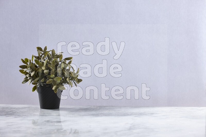 Green artificial plant in black pot on grey marble background