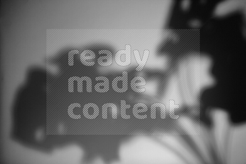 يظهر ضوء غوبو خافت ظلال أوراق نبات تسقط على سطح ناعم