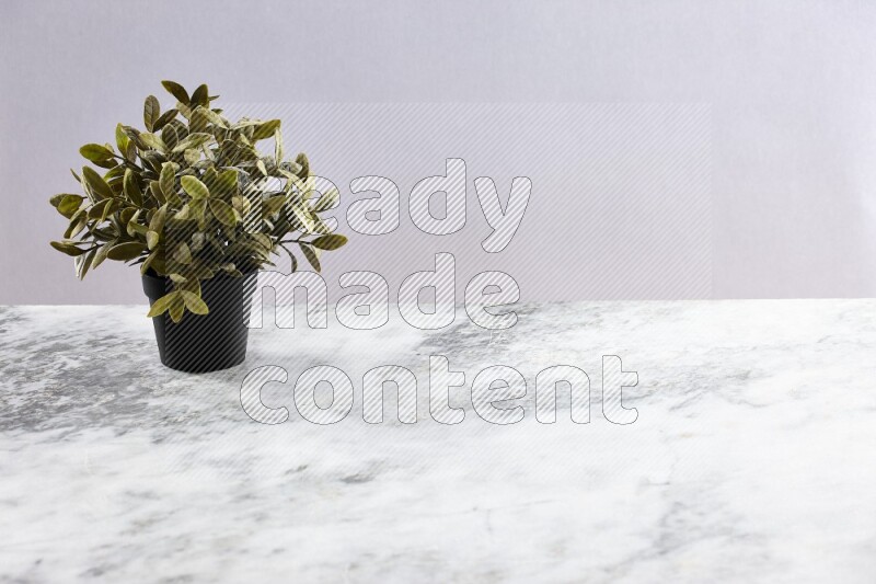 Green artificial plant in black pot on grey marble background