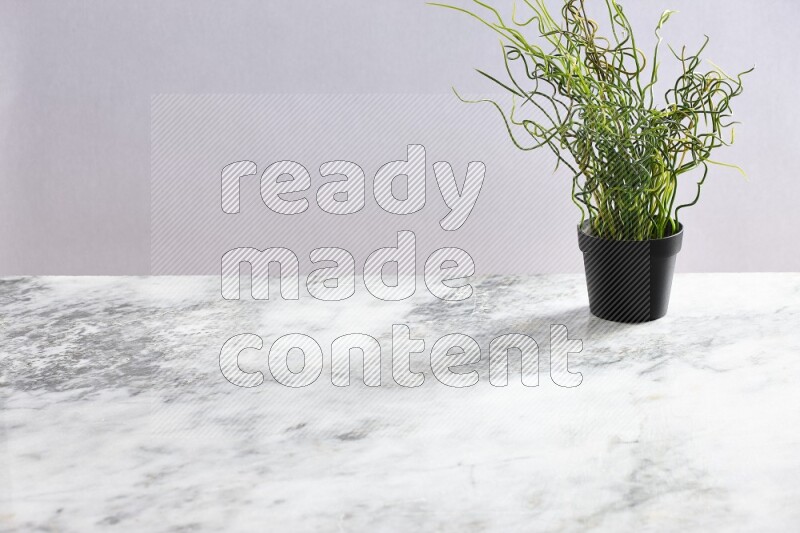 Green artificial plant in black pot on grey marble background