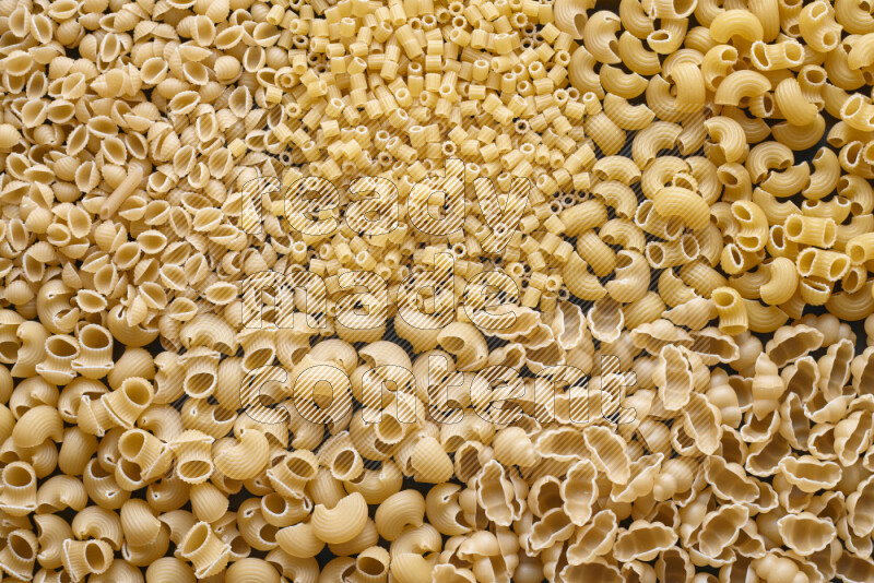 5 types of pasta filling the frame