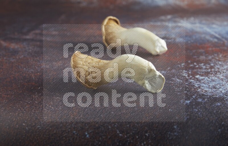 45 degre king oysters mushrooms on a textured reddish rustic metal background