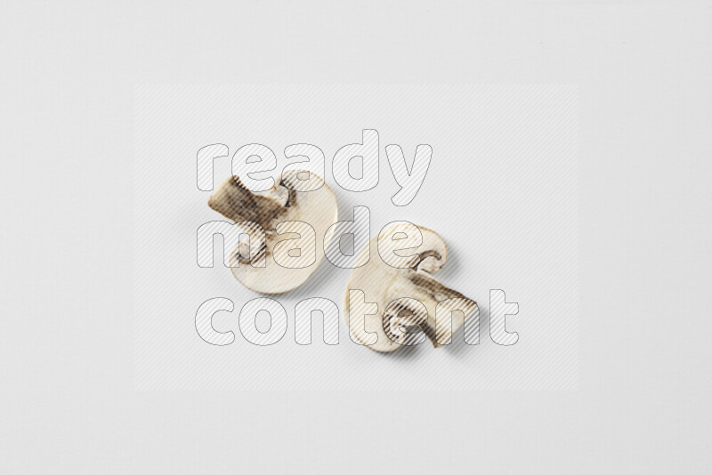 Mushrooms on white background