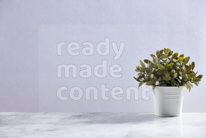 Green artificial plant in white pot on grey marble background