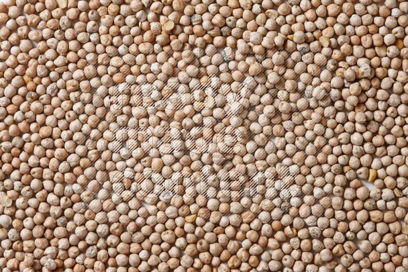 Chickpeas on white background