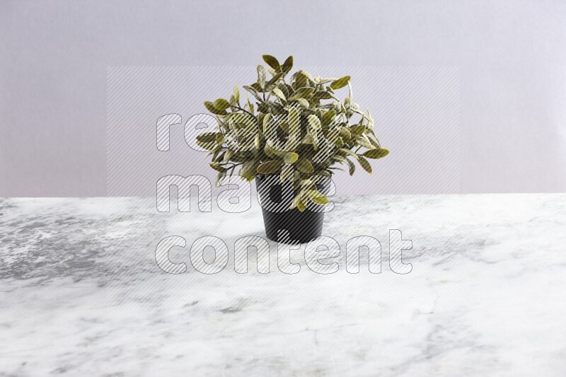 Green artificial plant in black pot on grey marble background