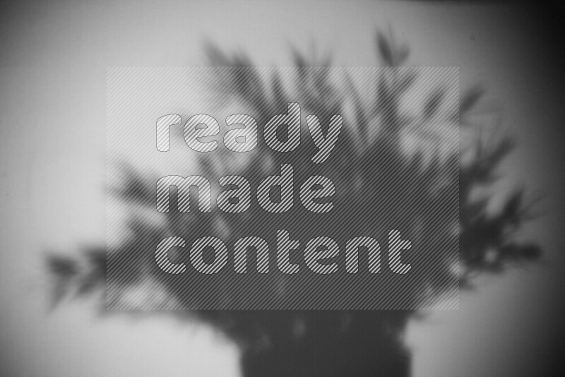 A delicate gobo light projects the silhouette of plant leaves onto a smooth surface