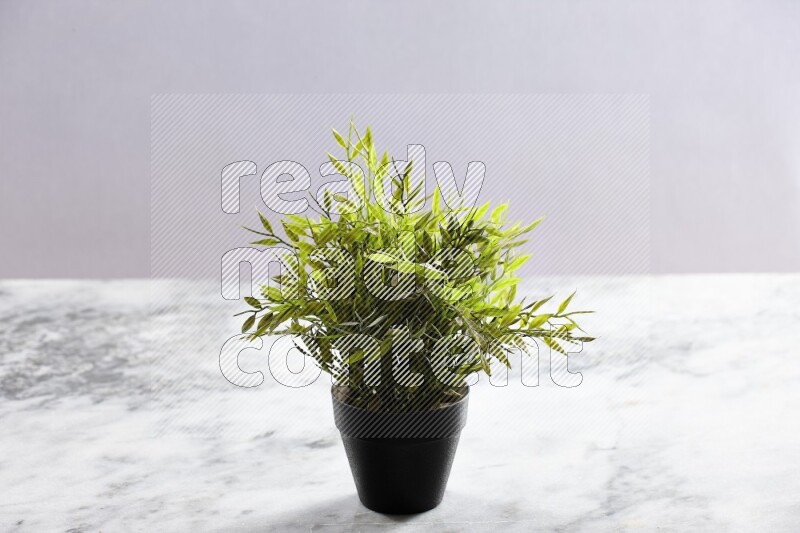 Green artificial plant in black pot on grey marble background