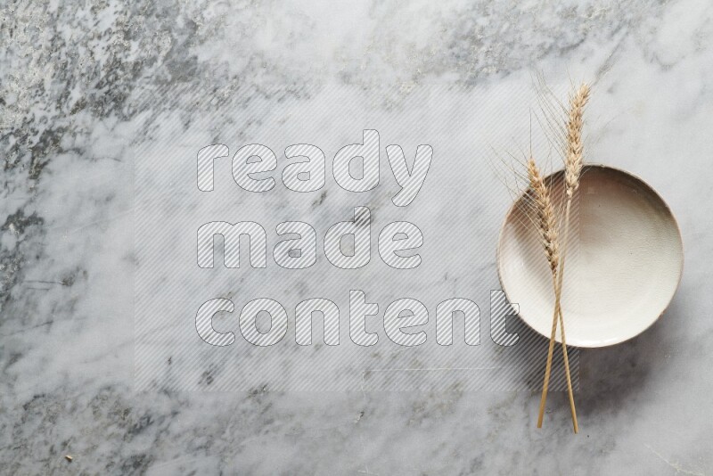 Wheat stalks on beige pottery plate on grey marble background