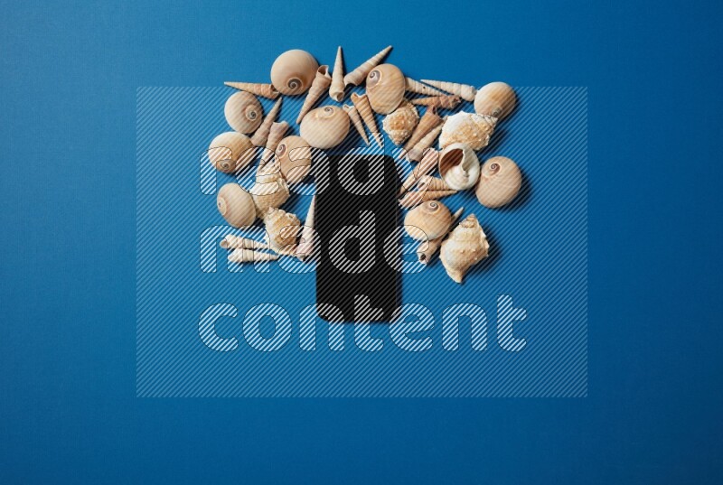 top view shot of phone with seashells on blue background
