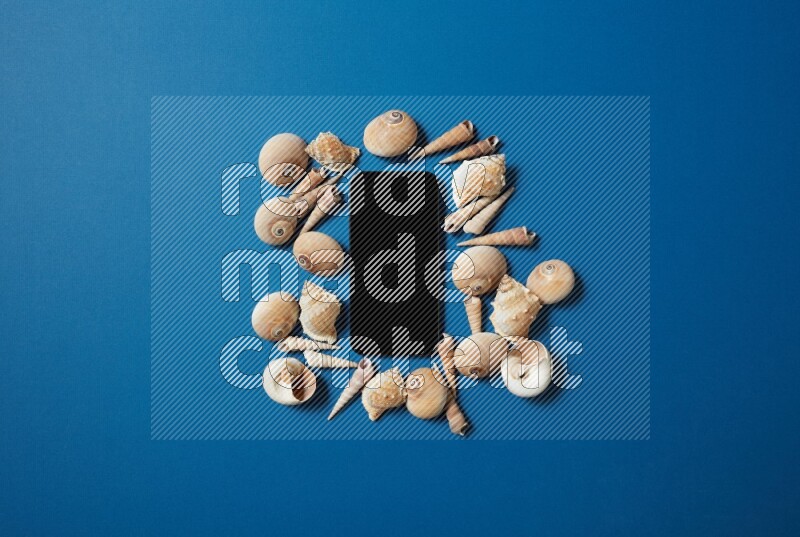 top view shot of phone with seashells on blue background