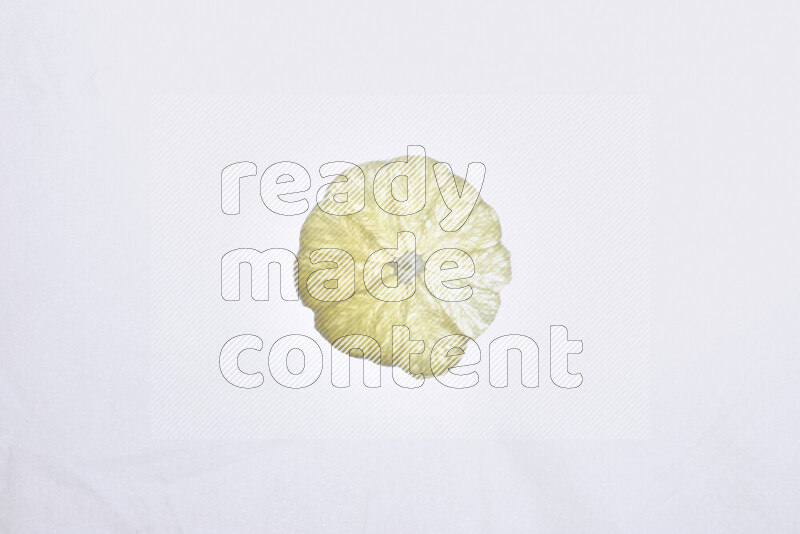Orange slices on illuminated white background