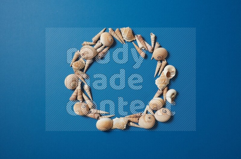 top view shot of seashells arrangement on blue background