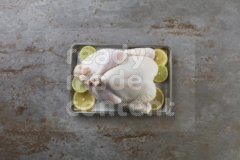 whole Raw chicken on a small oven trey direct on a rustic grey background