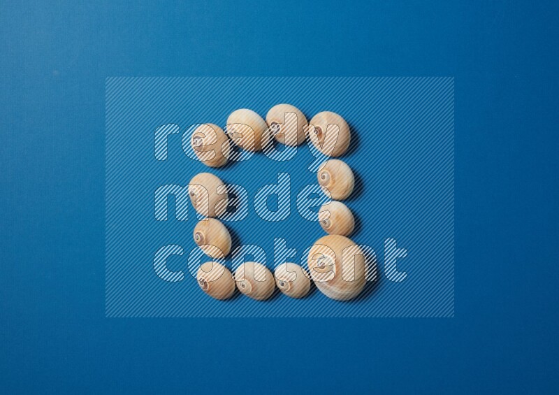 top view shot of seashells arrangement on blue background