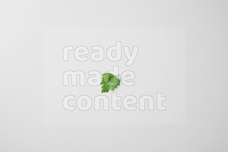 Scattered fresh parsley leaves on white background