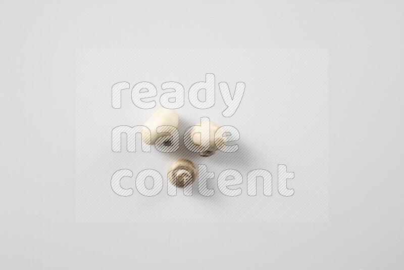 Mushrooms on white background