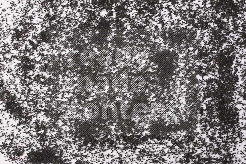 بذور حبة البركة متناثرة علي خلفية بيضاء