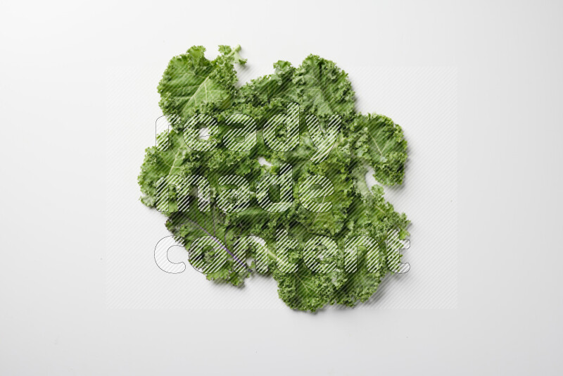 An array of kale leaves spread out on a white background