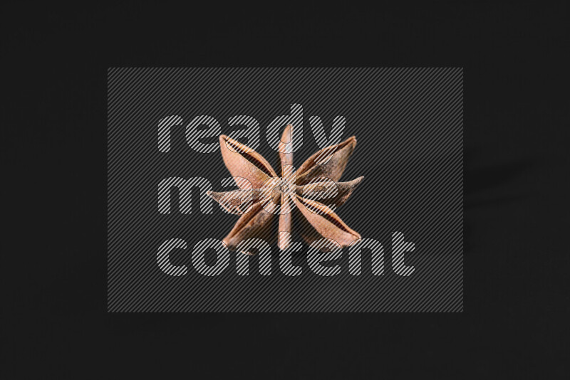 Star anise on black background