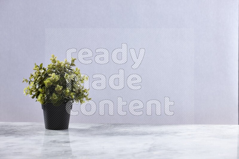 Green artificial plant in black pot on grey marble background