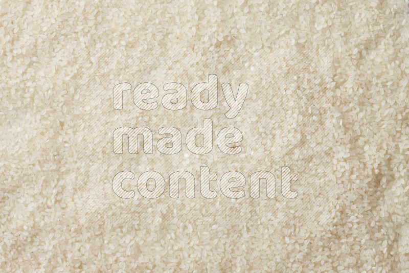 White rice on white background