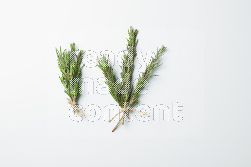 Multi fresh rosemary sprigs on white background