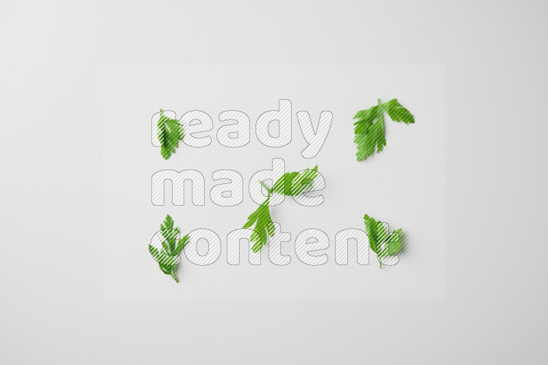 Scattered fresh parsley leaves on white background