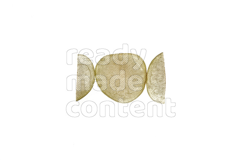 Plum slices on illuminated white background