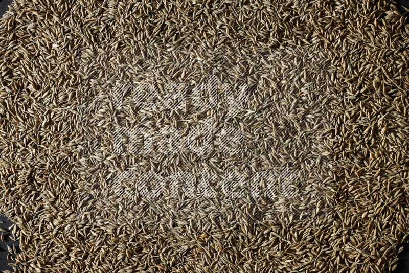Cumin seeds on black flooring