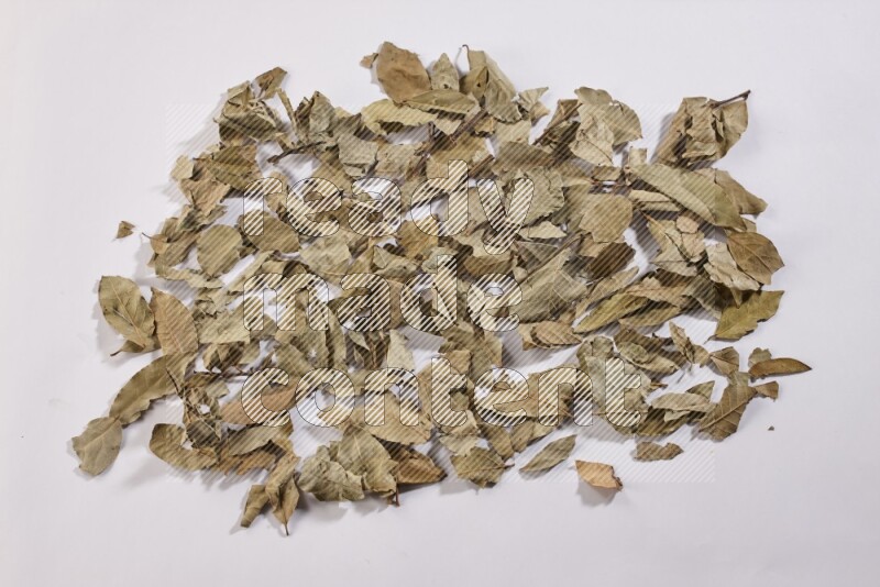 أوراق الغار المجففة علي خلفية بيضاء