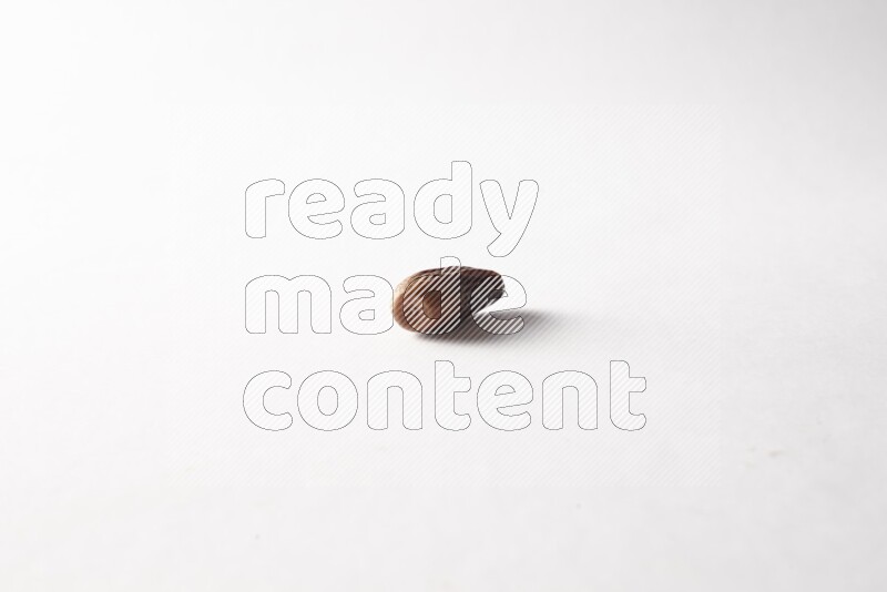 Dates on white background