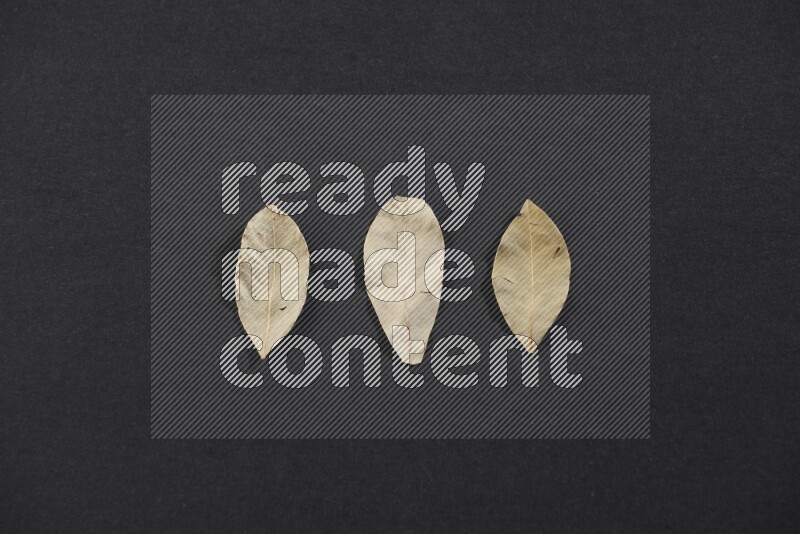 أوراق الغار المجففة علي خلفية سوداء