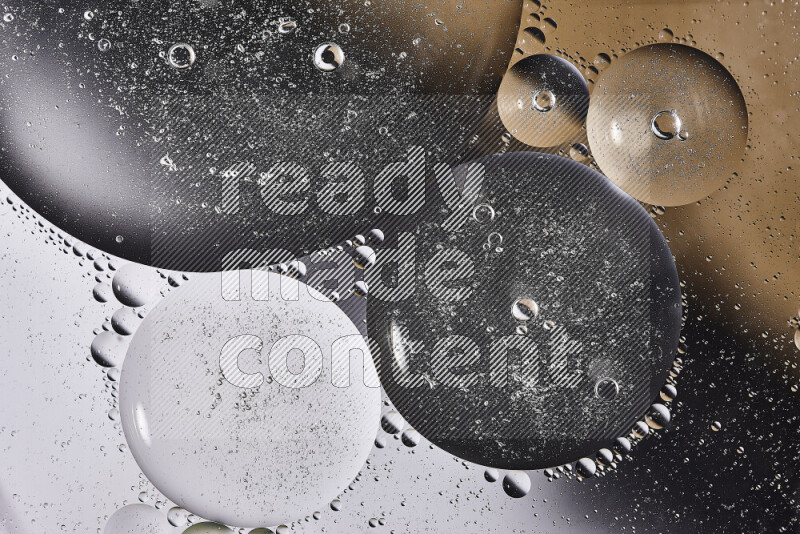 Close-ups of abstract oil bubbles on water surface in shades of white and brown