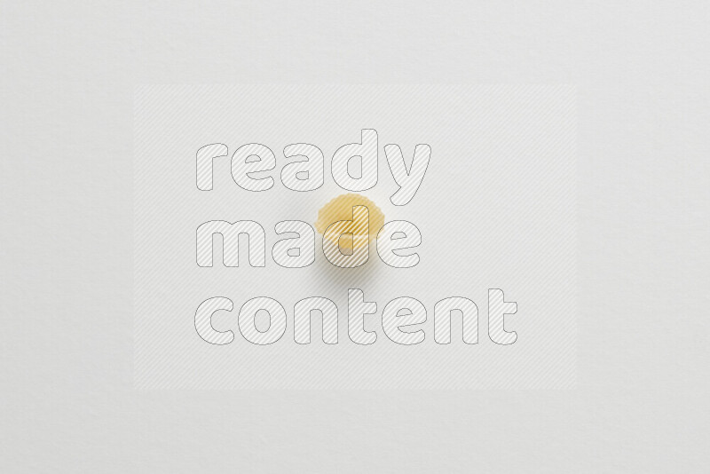 Shells pasta on white background