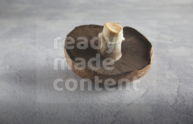 45 degre portobello mushrooms on a textured light blue background